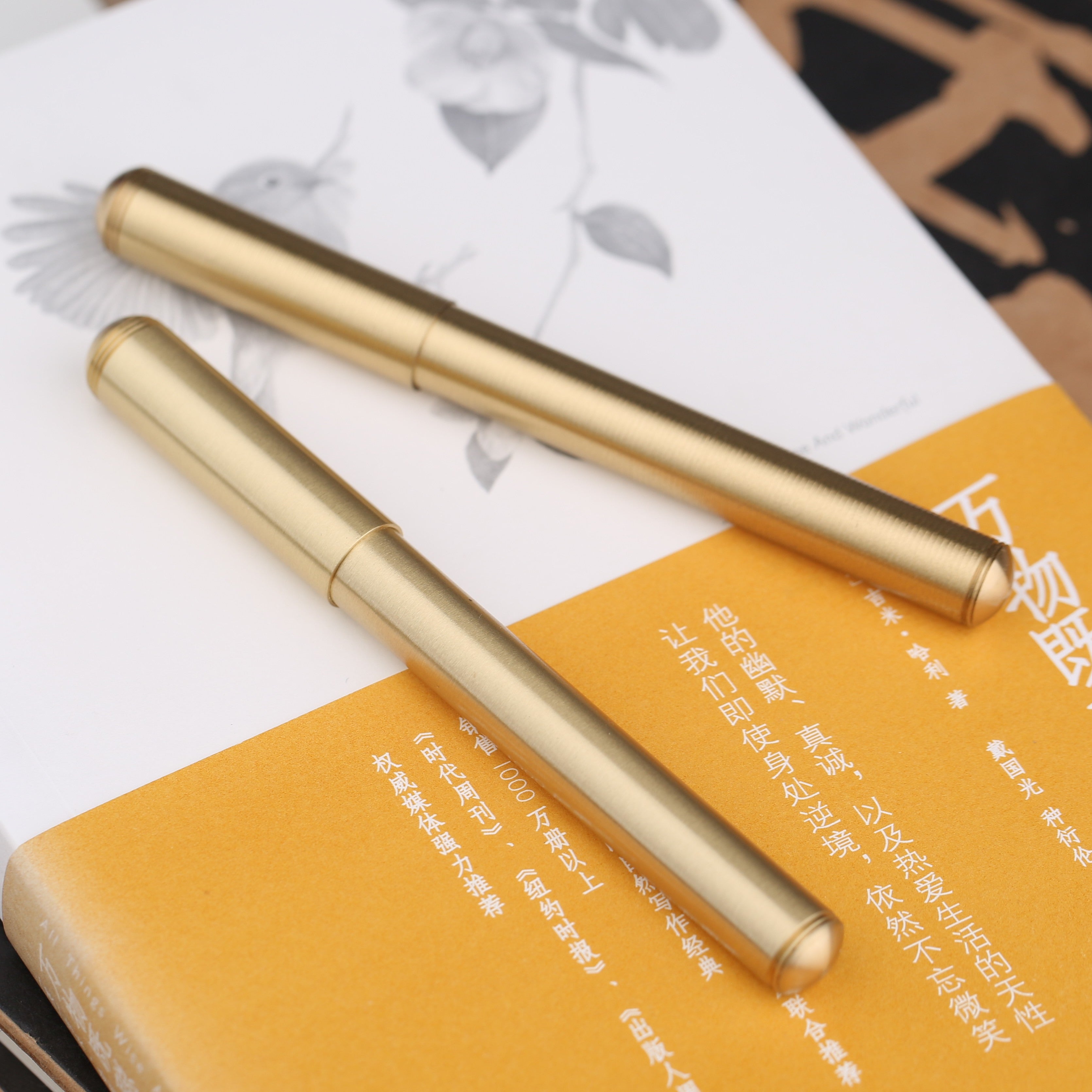 Delike Brass Fountain Pen  – Solid Brass Metal Body Luxury Writing Pen, Smooth Fine Point Signature Pen for Office, Journaling & Calligraphy