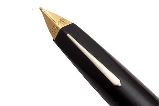 Hero 240 Pen Iridium Tipped NIb 0.5mm Fine Fountain Pen With Fixed Converter