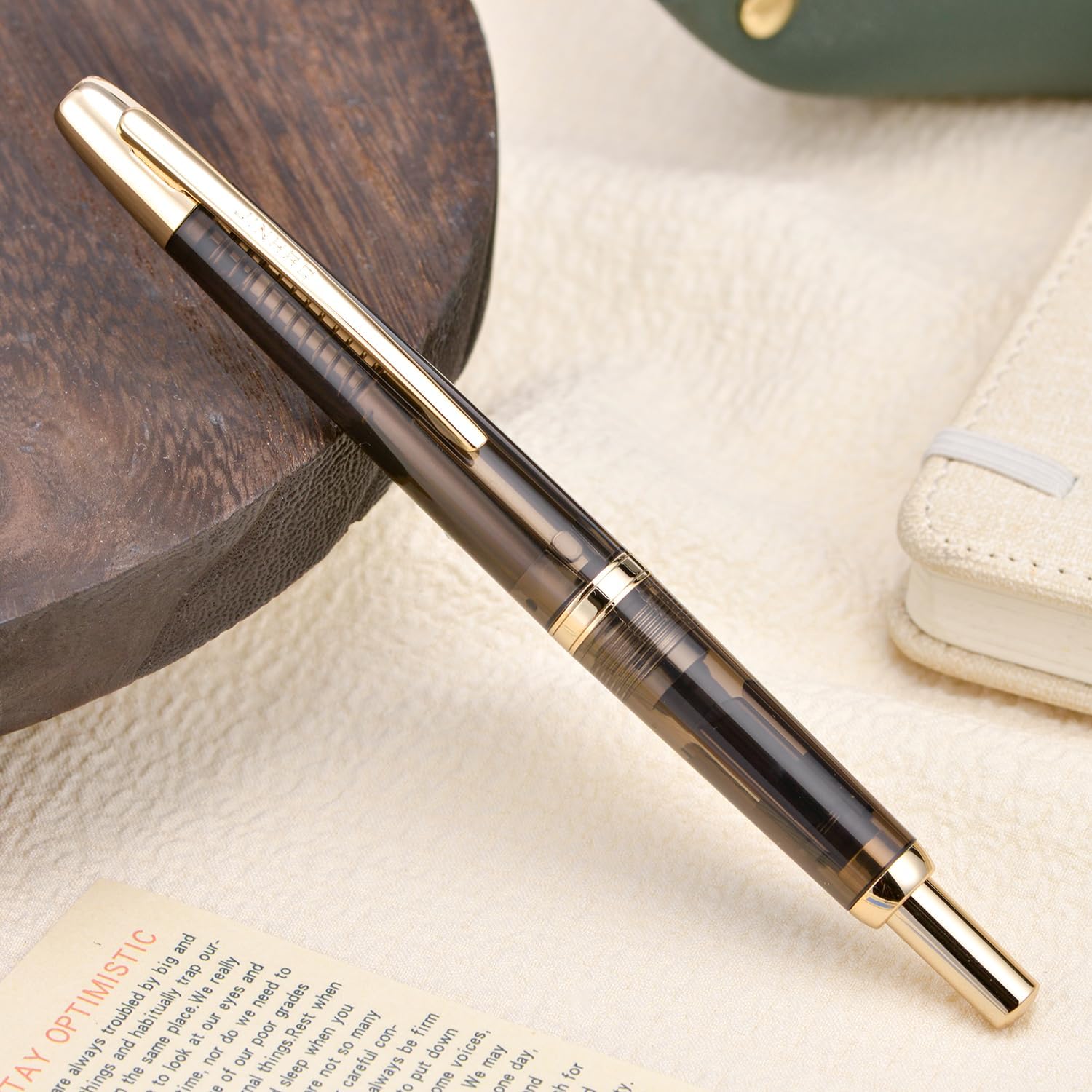 Jinhao 20 Press Retractable Fountain Pen – Transparent Black Colors – Plastic Body (Golden clip) -  Fine & Extra Fine Nib with Converter – Smooth Writing Daily Pen (No Ink Included)
