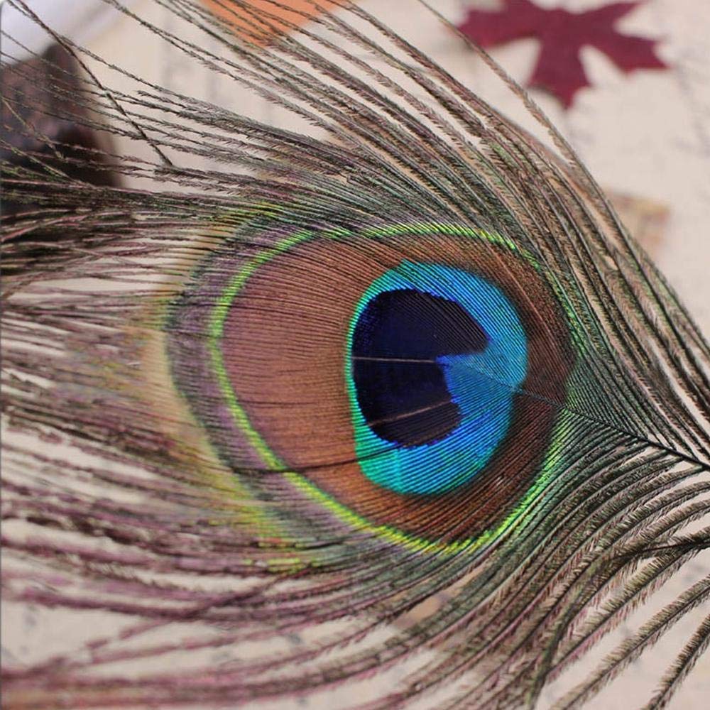 Peacock Feather Quill Dip Pen 0.5mm Fine Nib Writing Ink Set with Gift Box – Steel Ink Stationery Set for Calligraphy & Creative Writing