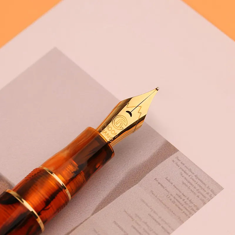 Moonman M800 Amble Acrylic Fountain Pen, Fine Nib with Converter and Pen Box Set