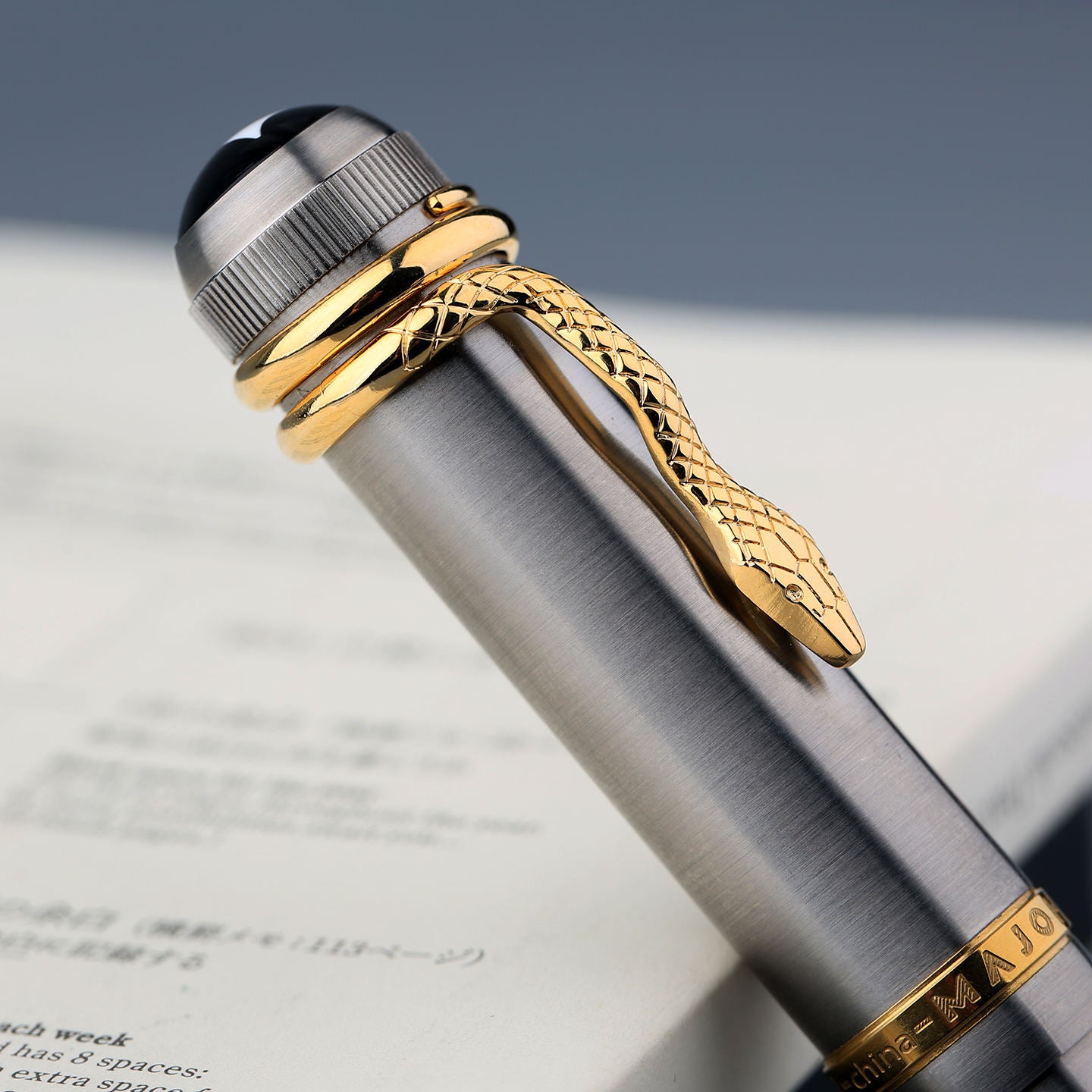 Moonman P137 Titanium Edition Fountain Pen – Snake Clip Piston Filler with Titanium Alloy Body, Gold Trim & EF Nib