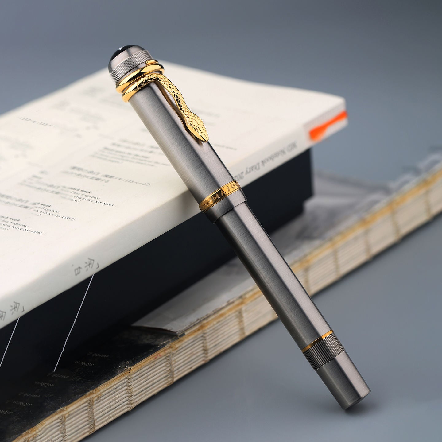 Moonman P137 Titanium Edition Fountain Pen – Snake Clip Piston Filler with Titanium Alloy Body, Gold Trim & EF Nib