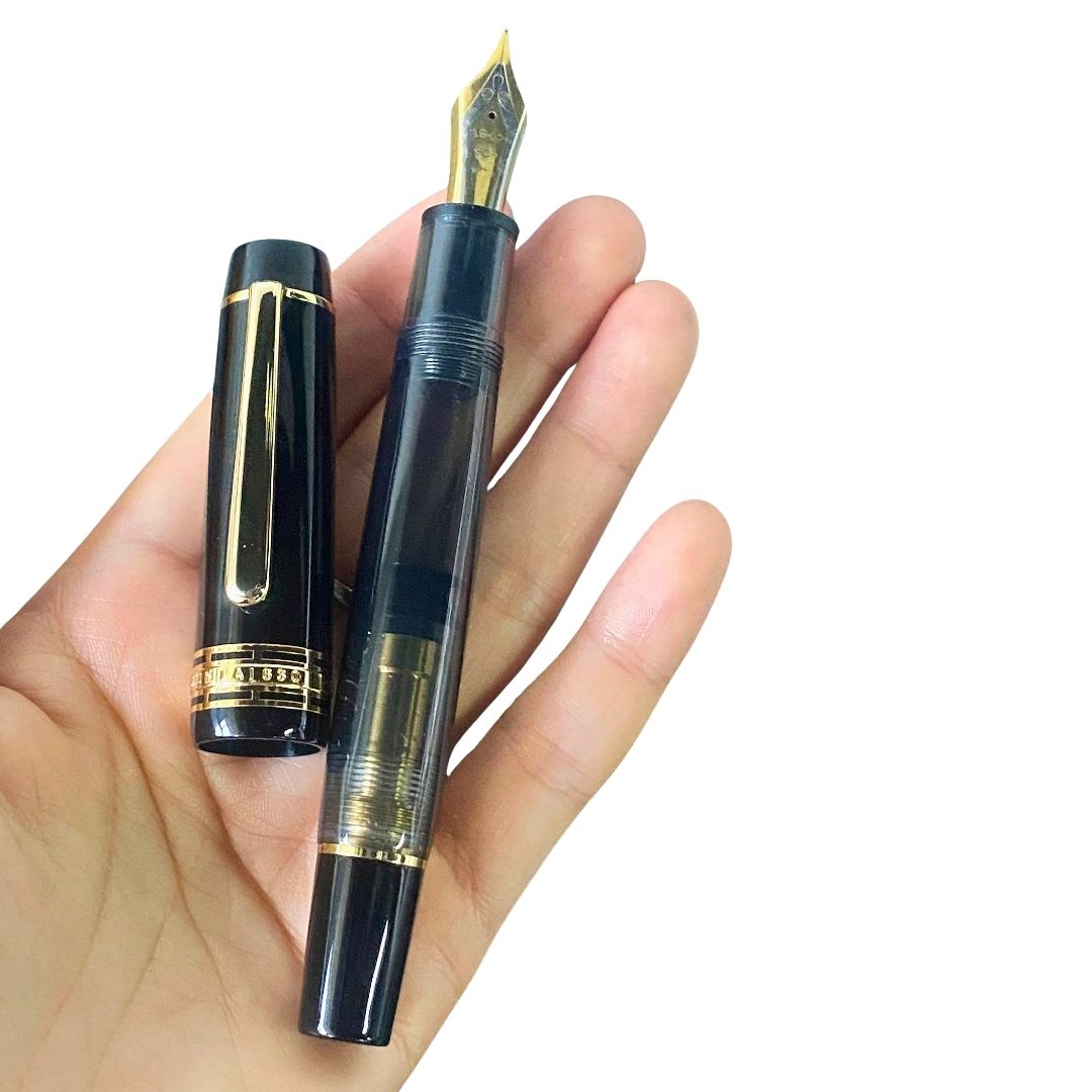Wingsung 630 Piston Fountain Pen – Flat Top Transparent Barrel, #8 Iridium Fine Nib Resin Pen (Black, Sky Blue, Red)