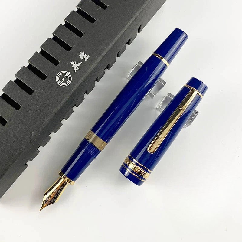 Wing Sung 629 Piston Filler Fountain Pen - Transparent Fence & Full Window Resin Barrel, Iridium Fine Nib, Large Ink Capacity for Smooth Writing
